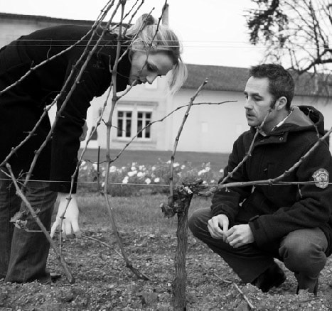 Weingut für den Weinkeller Berlin: im Ladengeschäft und im Online Shop