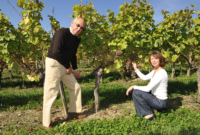 Weingut für den Weinkeller Berlin: im Ladengeschäft und im Online Shop