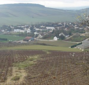 Weingut für den Weinkeller Berlin: im Ladengeschäft und im Online Shop