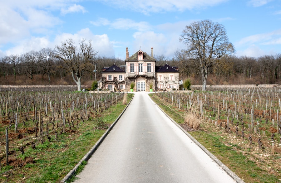 Weingut für den Weinkeller Berlin: im Ladengeschäft und im Online Shop