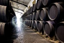 Francisco Yuste Brioso Weingut für den Weinkeller Berlin: im Ladengeschäft und im Online Shop