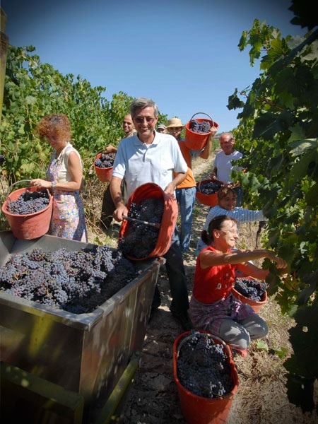 Weingut für den Weinkeller Berlin: im Ladengeschäft und im Online Shop