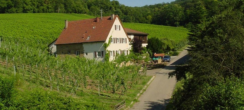 Weingut für den Weinkeller Berlin: im Ladengeschäft und im Online Shop