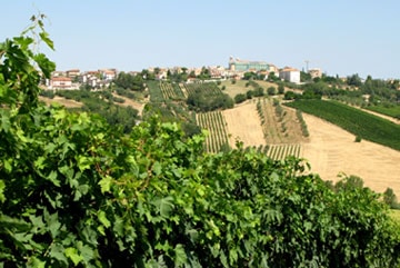 Weingut für den Weinkeller Berlin: im Ladengeschäft und im Online Shop