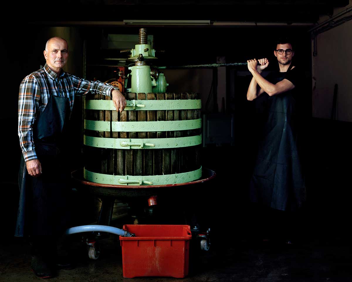 Weingut für den Weinkeller Berlin: im Ladengeschäft und im Online Shop