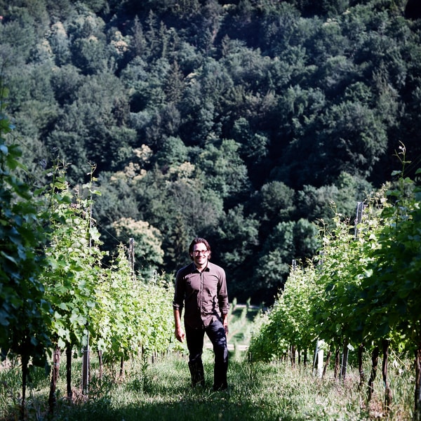 Weingut für den Weinkeller Berlin: im Ladengeschäft und im Online Shop