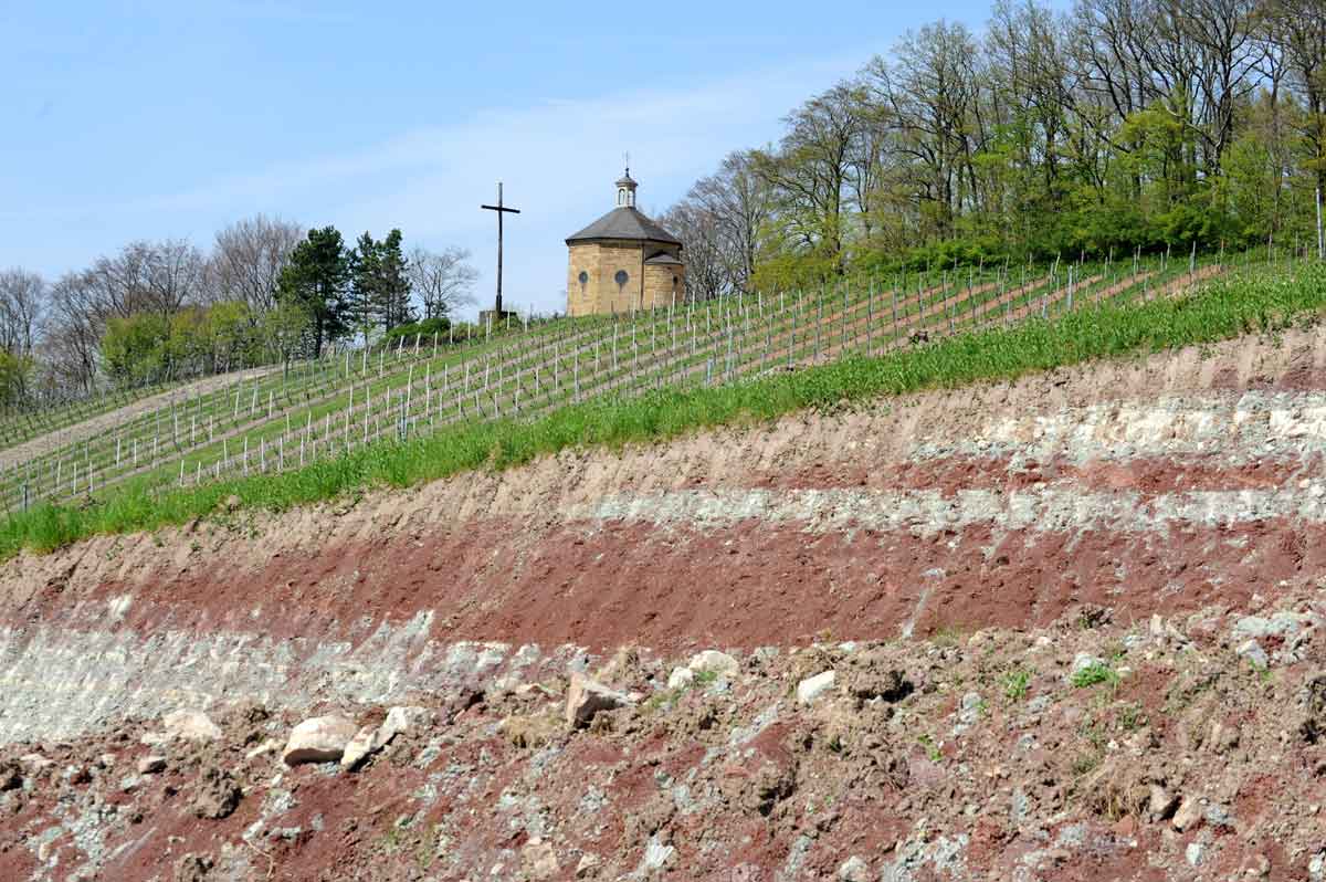 Weingut für den Weinkeller Berlin: im Ladengeschäft und im Online Shop