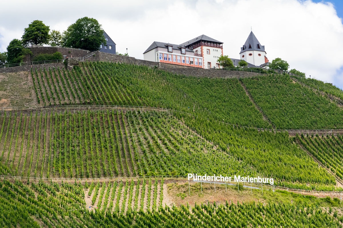 Weingut für den Weinkeller Berlin: im Ladengeschäft und im Online Shop