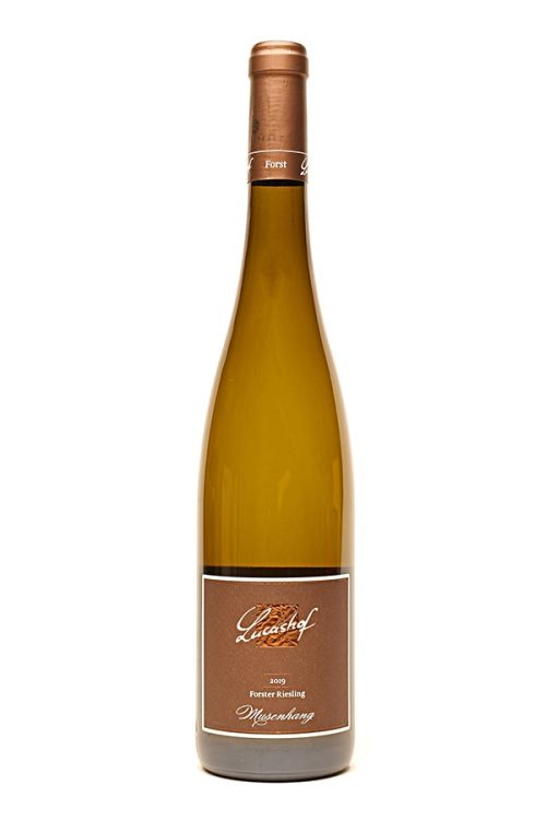 Bild von Riesling QW trocken Forster Musenhang, Erste Lage, 2022 aus Deutschland im Weinkeller Berlin