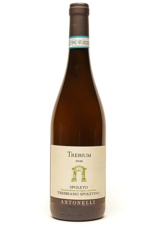 Bild von Trebbiano Spoletino "Trebium" Spoleto DOC, 2022 aus Italien im Weinkeller Berlin