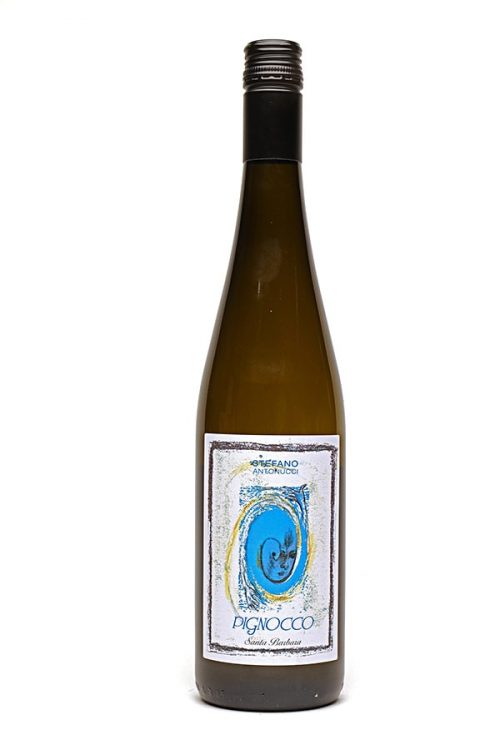 Bild von Verdicchio dei Castelli di Jesi DOC "Pignocco", 2021 aus Italien im Weinkeller Berlin